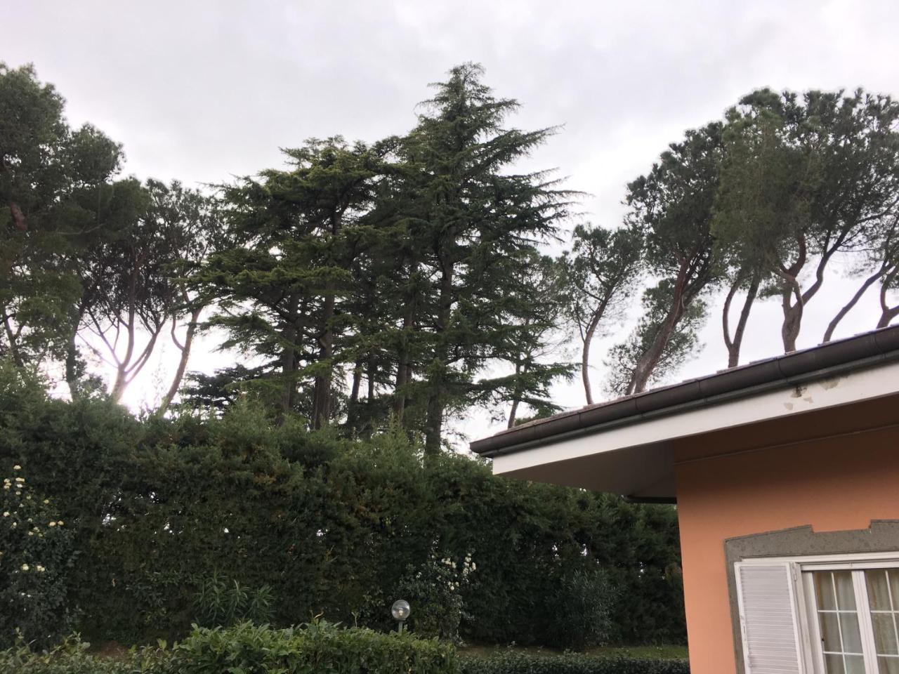 Villagio B&B Frascati Extérieur photo